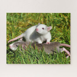 Puzzle Ratas pequeñas de Mascota para bebés en la hierba