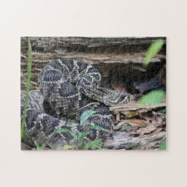 Puzzle Rattlesnake