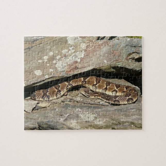 Puzzle Rattlesnake at Shenandoah National Park (Horizontal)
