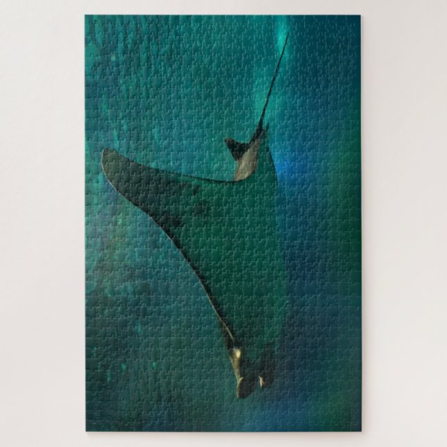 Puzzle Raya en un acuario. (Vertical)