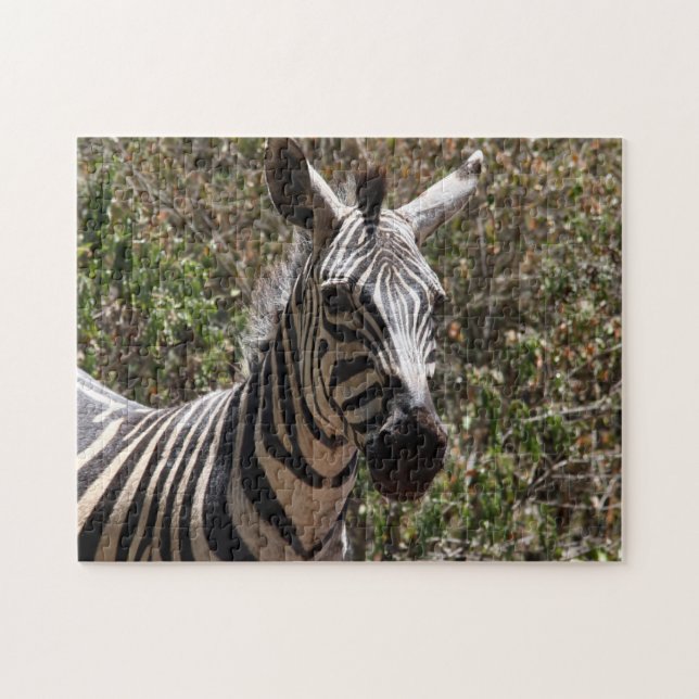 Puzzle rayado de cebra (Horizontal)