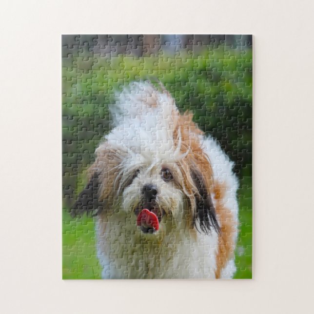 Puzzle Raza de perro Lhasa Apso. (Vertical)