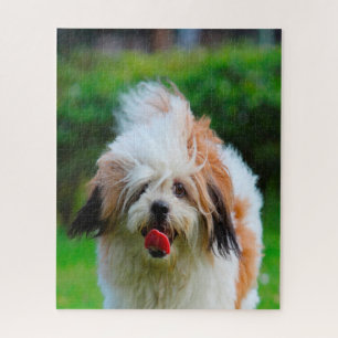 Puzzle Raza de perro Lhasa Apso.