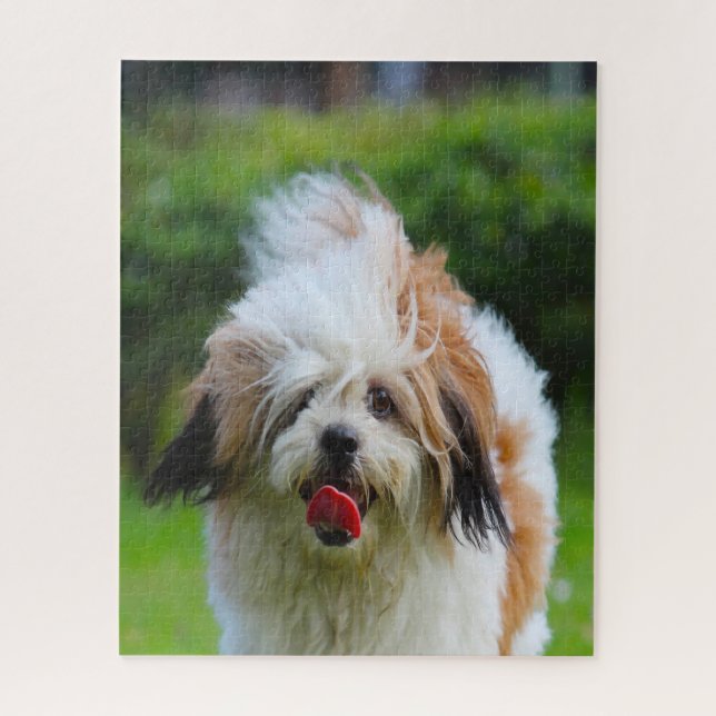 Puzzle Raza de perro Lhasa Apso. (Vertical)