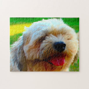 Puzzle Raza de perro Lhasa Apso.