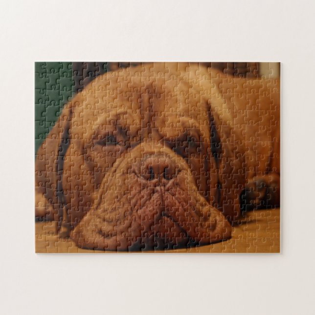 Puzzle Raza De Perro Mastiff. (Horizontal)