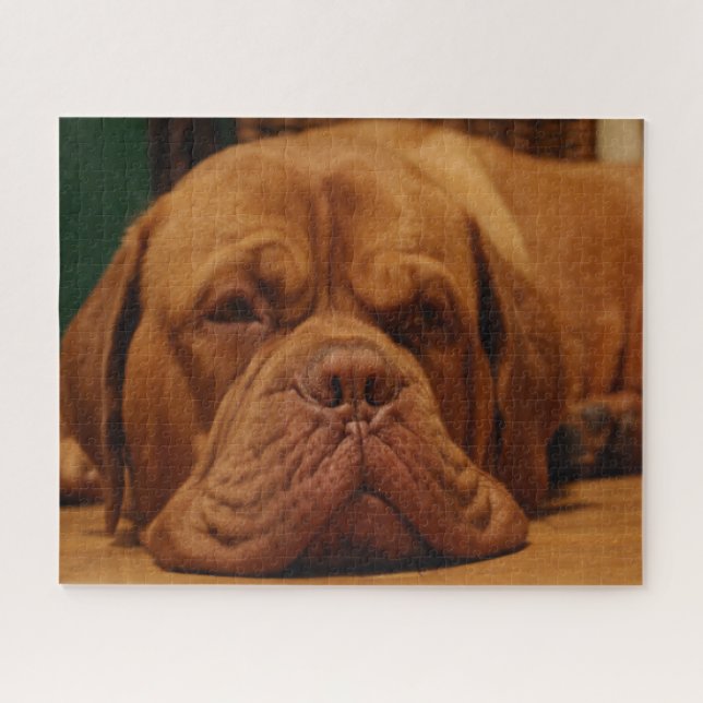 Puzzle Raza De Perro Mastiff. (Horizontal)