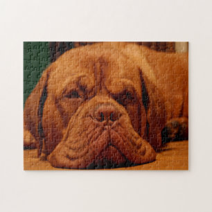 Puzzle Raza de perro Mastín.