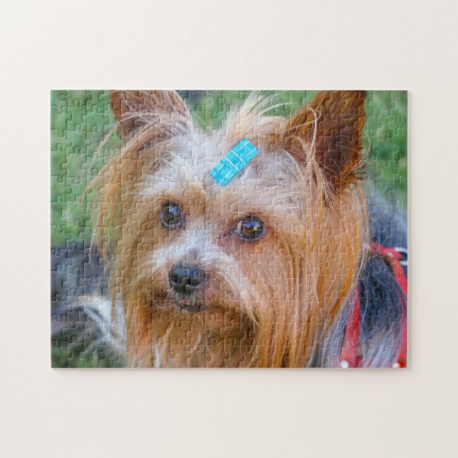 Puzzle Raza favorita de Yorkshire Terrier Yorkie (Horizontal)