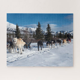 Puzzle Raza fornida del trineo del perro de Alaska