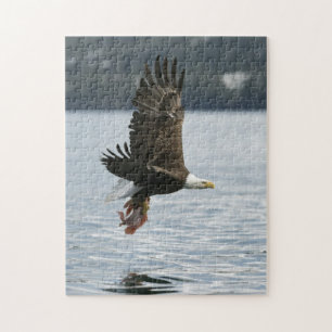 Puzzle Recuperación de los pescados de Eagle calvo