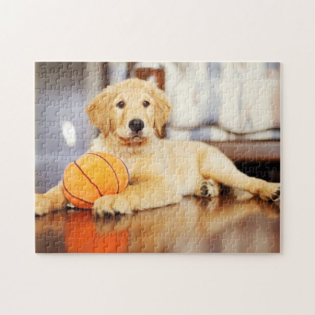 Puzzle Recuperador de oro con juguete de baloncesto (Horizontal)