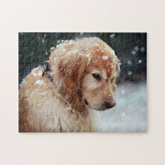 Puzzle Recuperador de oro de nieve