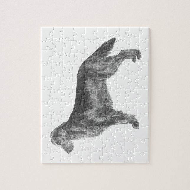 Puzzle Recuperador plano (Vertical)