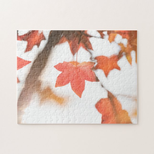 Puzzle Red Autumn Leaf Nature Photo (Horizontal)