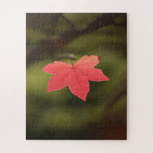 Puzzle Red Autumn Maple Leaf Nature Photo