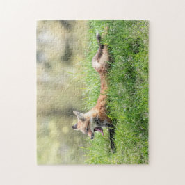 Puzzle Red Fox Kit