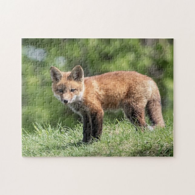 Puzzle Red Fox Kit (Horizontal)