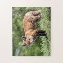 Puzzle Red Fox Kit