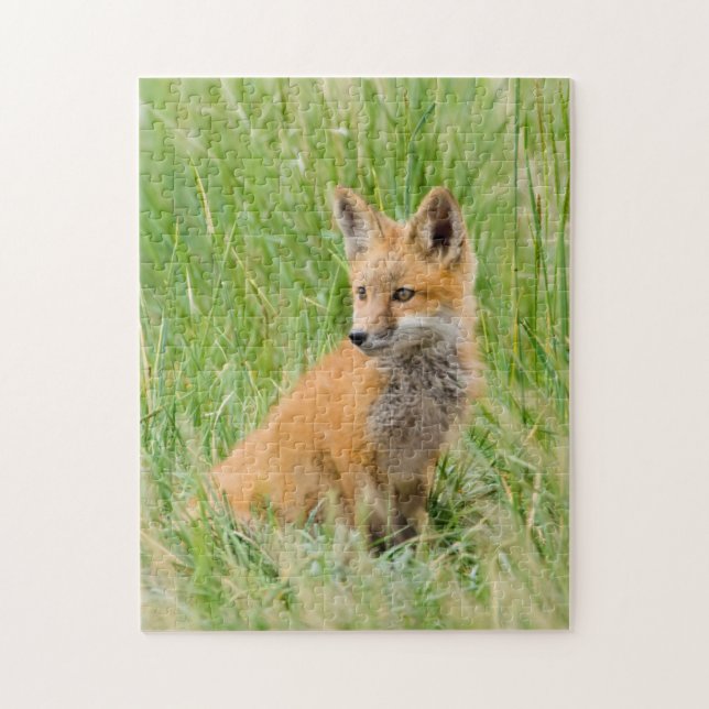 Puzzle Red Fox Kit en césped cerca de den (Vertical)