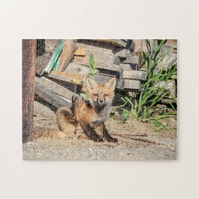 Puzzle Red Fox Kit en los Adirondacks (Horizontal)