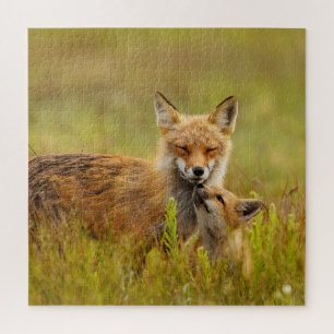 Puzzle Red Fox Kit Looking Up to Momma
