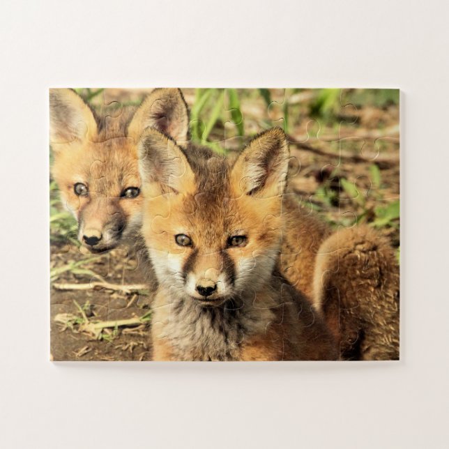 Puzzle Red Fox Kits (Horizontal)