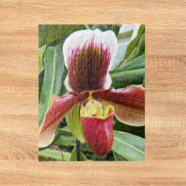 Puzzle Red Lady Slipper Orchid Floral