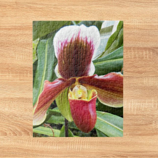 Puzzle Red Lady Slipper Orchid Floral (In Situ)
