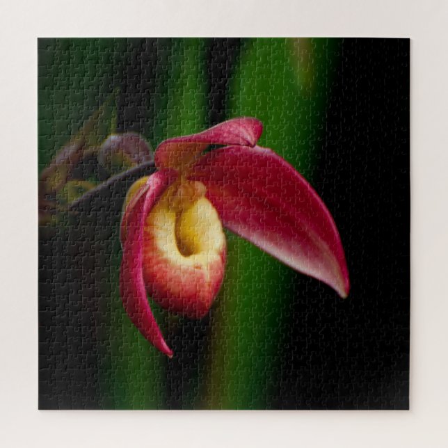 Puzzle Red Lady Slippers Orchid (Vertical)
