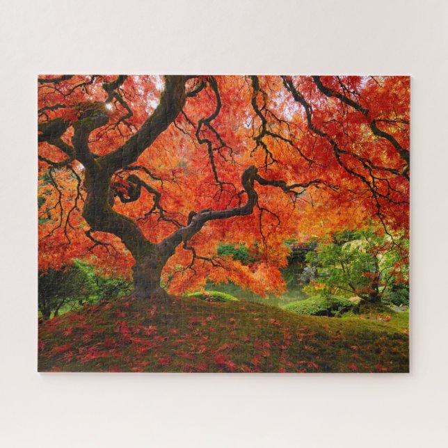 Puzzle Red Maple in Autumn at Portland Japanese Garden (Horizontal)