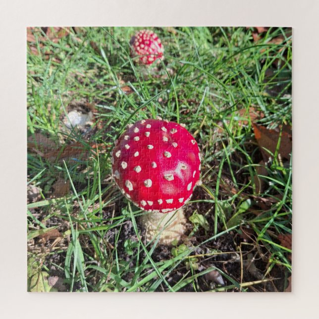 Puzzle Red mushroom  (Vertical)