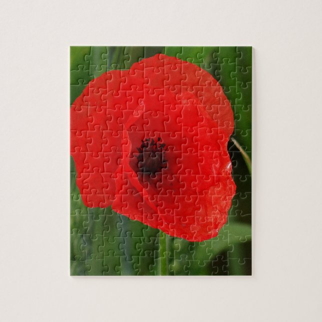 Puzzle Red poppy (Vertical)