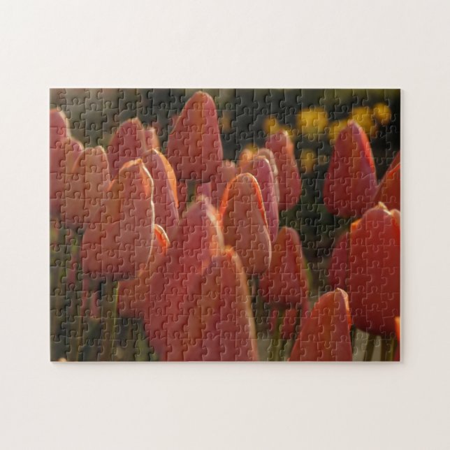 Puzzle Red Tulip Flowers Creative  (Horizontal)