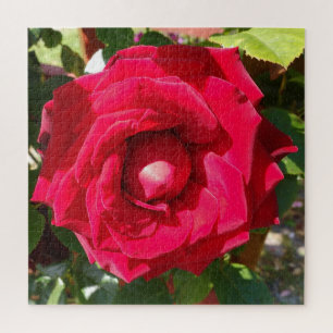 Puzzle Red Velvet Bud
