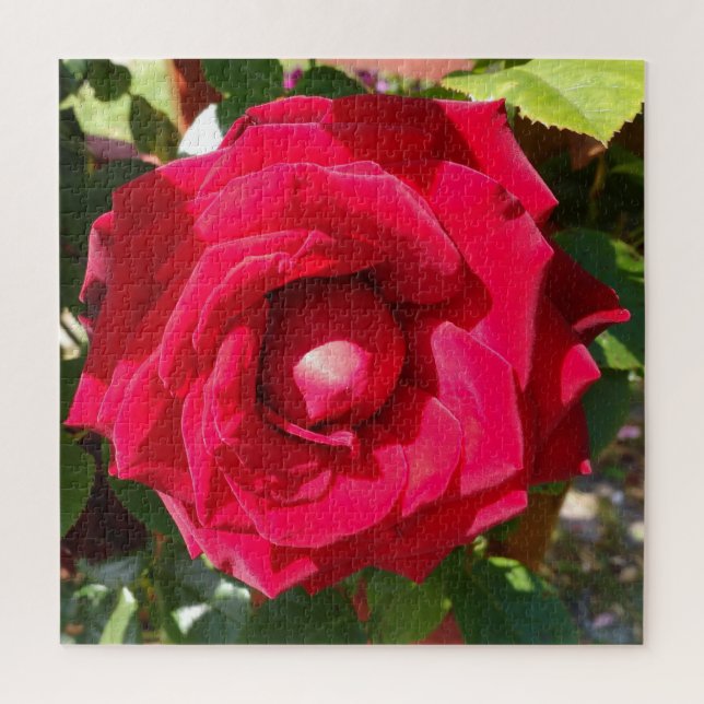 Puzzle Red Velvet Bud (Vertical)