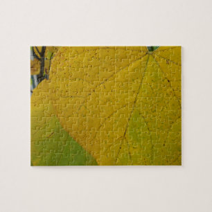 Puzzle Redbud amarillo deja fotografía de la naturaleza o