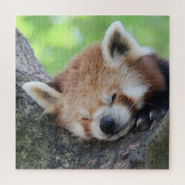 Puzzle RedPanda 2020-03-02