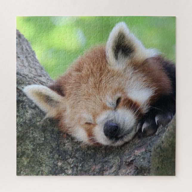 Puzzle RedPanda 2020-03-02 (Vertical)