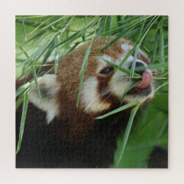 Puzzle RedPanda 2020-03-03