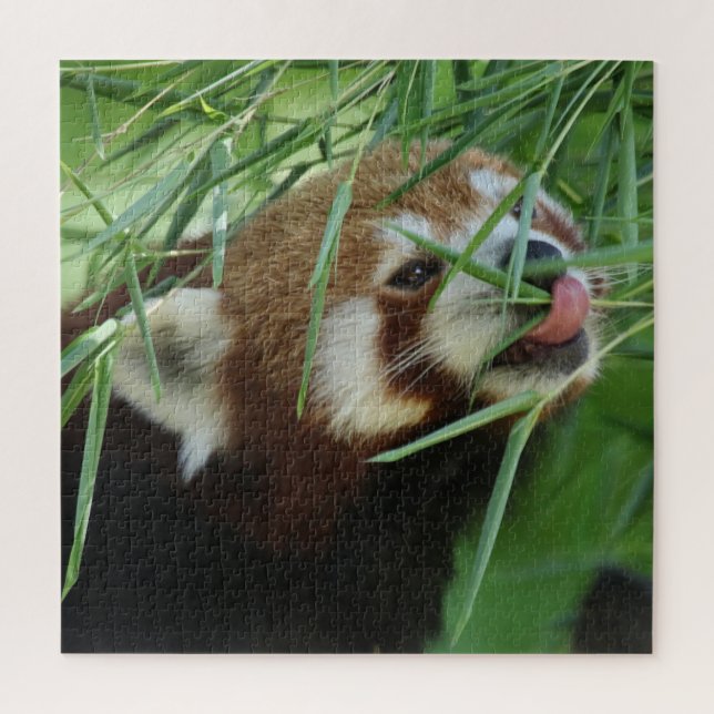 Puzzle RedPanda 2020-03-03 (Vertical)