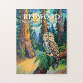 Puzzle Redwood National Park Colorful Forest Owl Wildlife