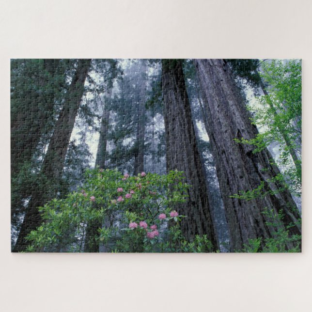 Puzzle Redwoods costeros y Rhododendrons (Horizontal)