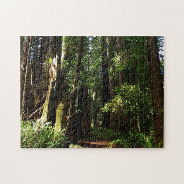 Puzzle Redwoods y helechos en el Parque Nacional Redwood (Horizontal)