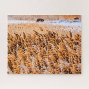 Puzzle Reeds de Antelope Island, Utah - 16x20 - 520 pcs.