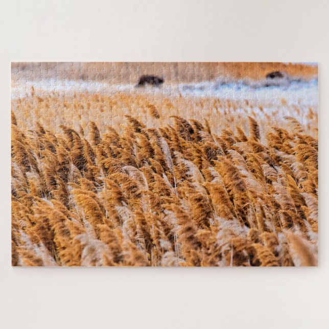 Puzzle Reeds de Antelope Island, Utah - 20x30 - 1014 pcs. (Horizontal)