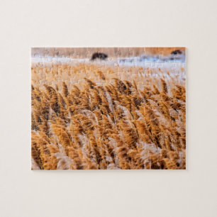 Puzzle Reeds de Antelope Island, Utah - 8x10 - 110 pcs.