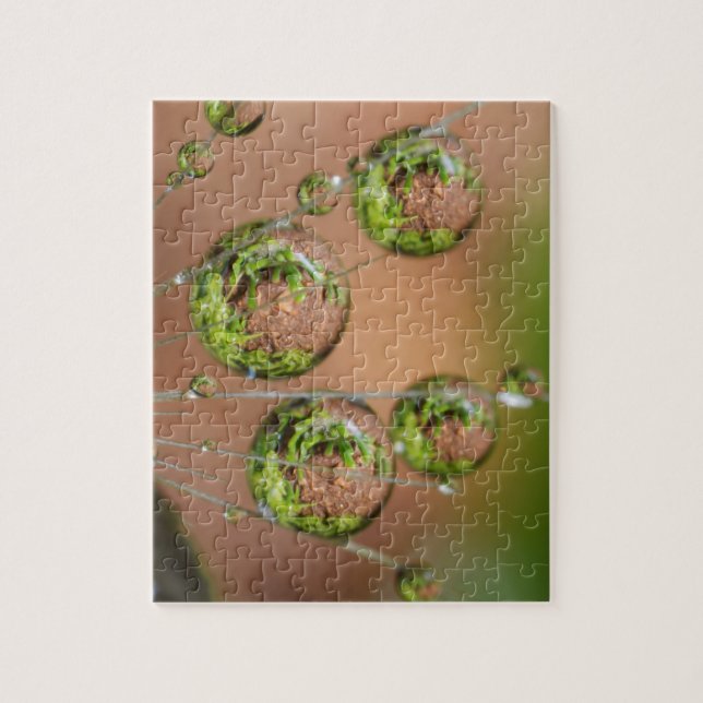 Puzzle Reflejo de gotas de agua (Vertical)