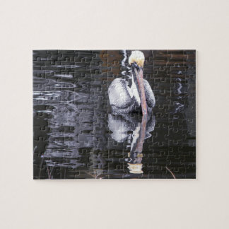 Puzzle Reflejo Pelicano