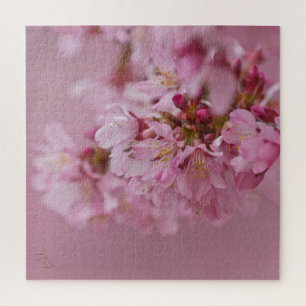 Puzzle Reflejos Rojizos Pálidos de Flor de Cerezo Sakura